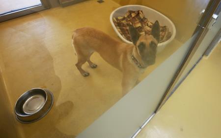 ZAVETIŠČE GMAJNICE PODPIS KONCESIJSKE POGODBE 16 FOTO LJUBO VUKELIČ